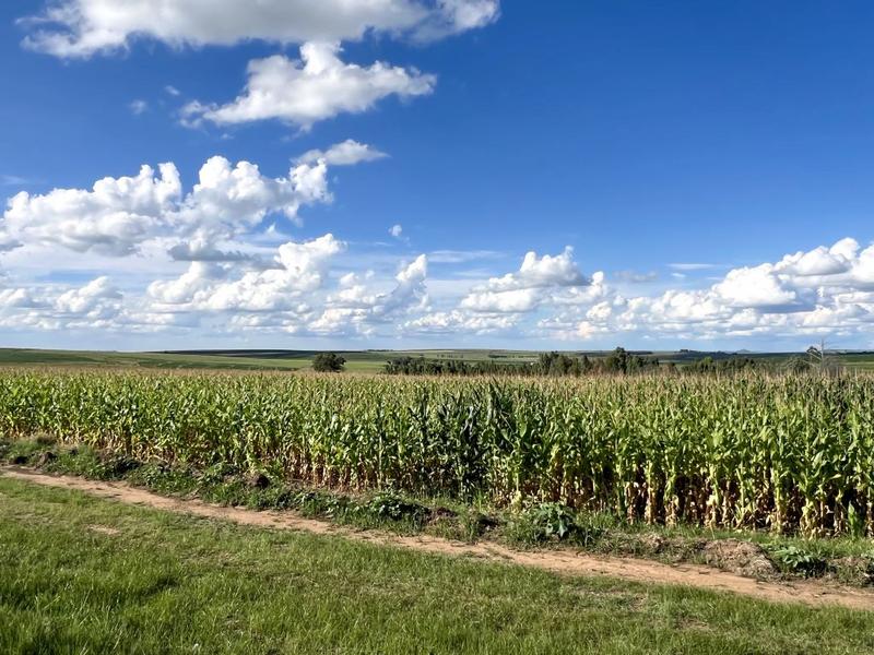 0 Bedroom Property for Sale in Bethlehem Rural Free State